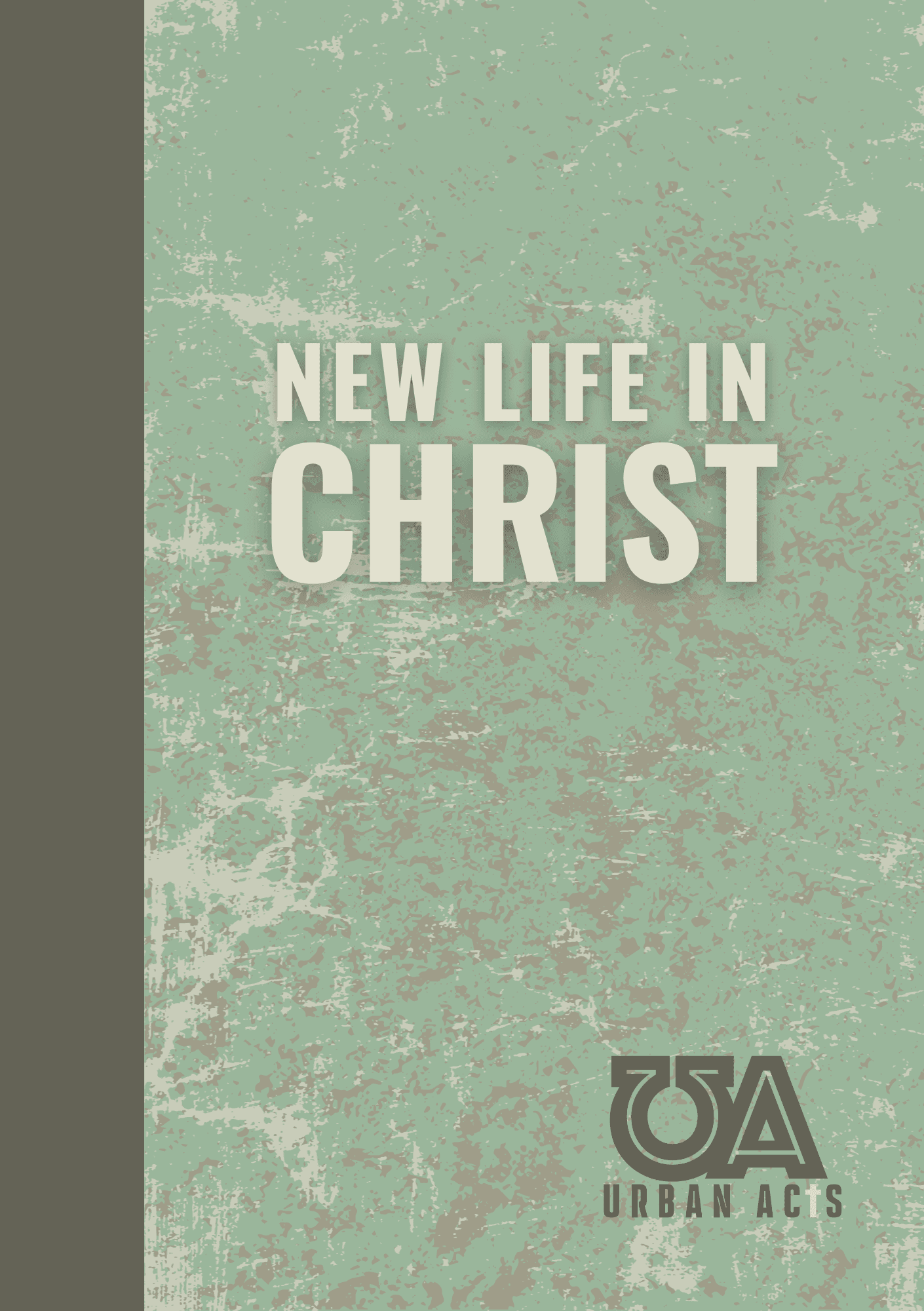 New Life In Christ